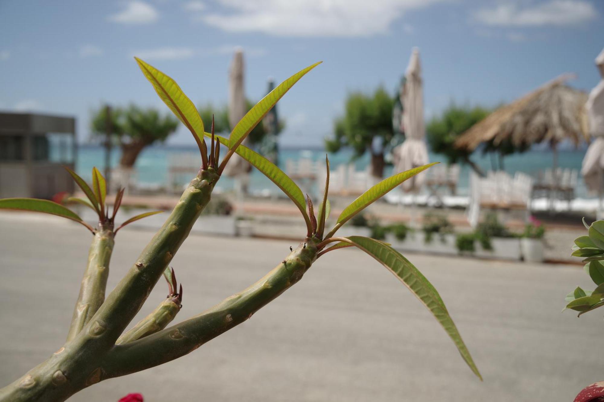 Soso's -vacations Next To The